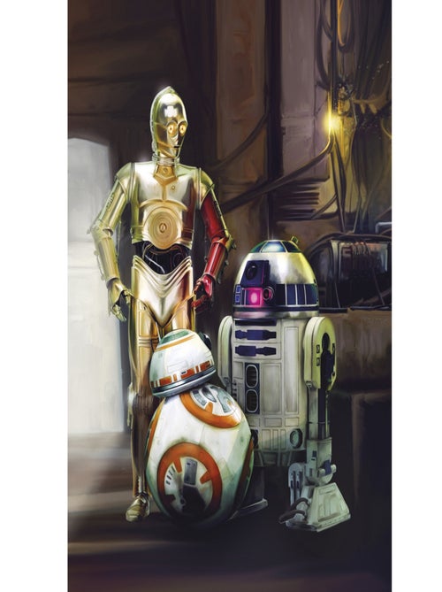 Papier Peint droïde Star Wars Le Réveil de la Force les 3 robots C3PO, R2D2 et BB-8 taille 254X184 C - Kiabi
