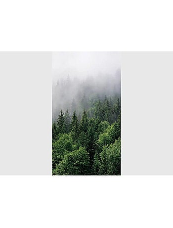 Papier peint forets de sapins et brouillard 270 x 150 cm