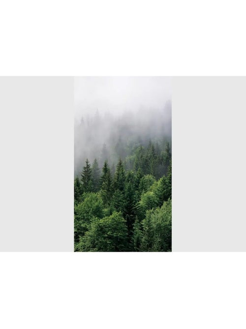 Papier peint forets de sapins et brouillard 270 x 150 cm - Kiabi