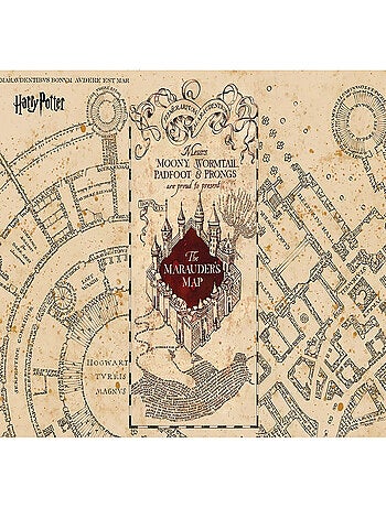 Papier peint Harry Potter la carte du maraudeur du château de poudlard 252 x 182 cm