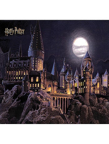 Papier peint Harry Potter : le château de Poudlard est illuminé pendant la nuit 252 x 182 cm