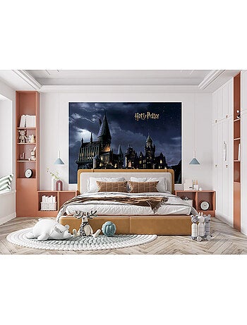 Papier peint Harry Potter poudlard 252 x 182 cm