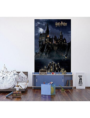 Papier peint Harry Potter Poudlard avec des personnes sur des barques 252 x 182 cm