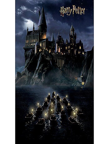 Papier peint Harry Potter Poudlard avec des personnes sur des barques 252 x 182 cm