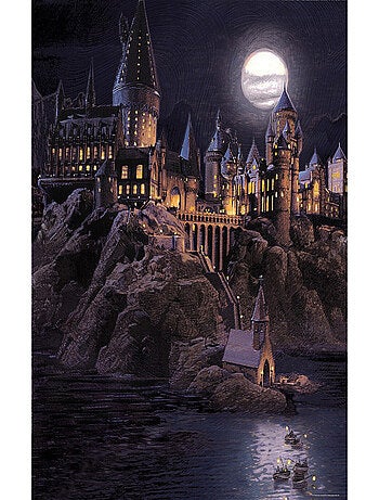 Papier peint Harry Potter Poudlard la nuit effet peinture à l'huile 225 x 270 cm - 3 lés