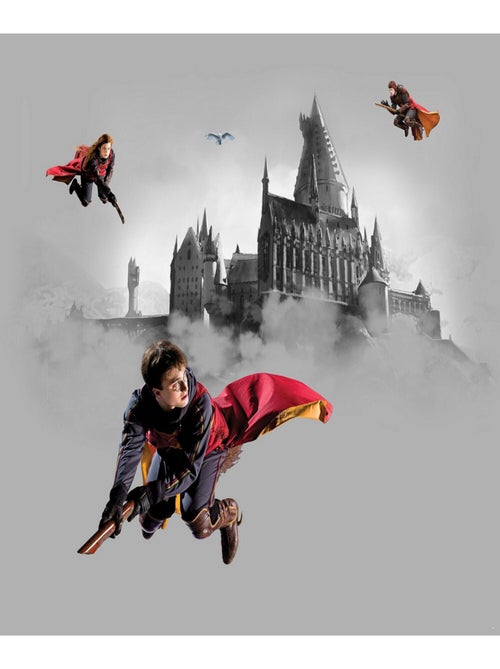 Papier peint Harry Potter Quidditch 3 personnages  225 x 270 cm - 3 lés - Kiabi