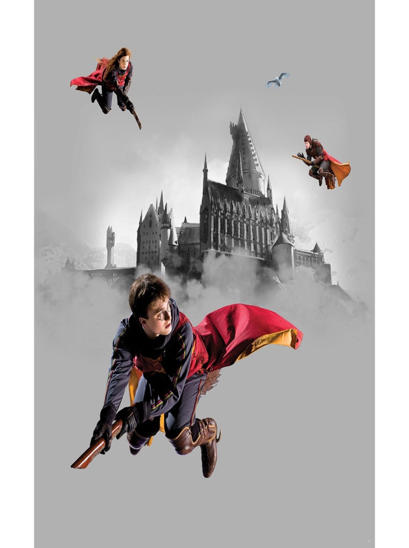 Papier peint Harry Potter Quidditch 3 personnages  225 x 270 cm - 3 lés Multicolore - Kiabi