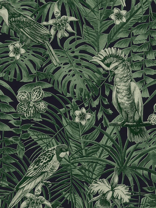 Papier peint imprimé cacatoes jungle - Kiabi Papier peint imprimé cacatoes jungle - Kiabi