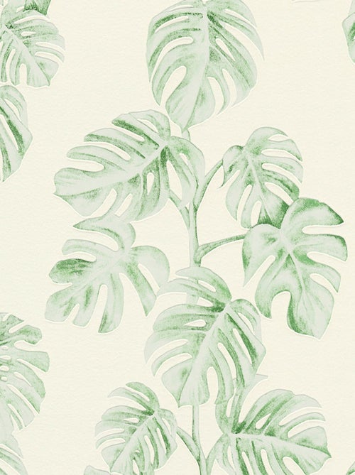 Papier peint imprimé feuillage Monstera - Kiabi