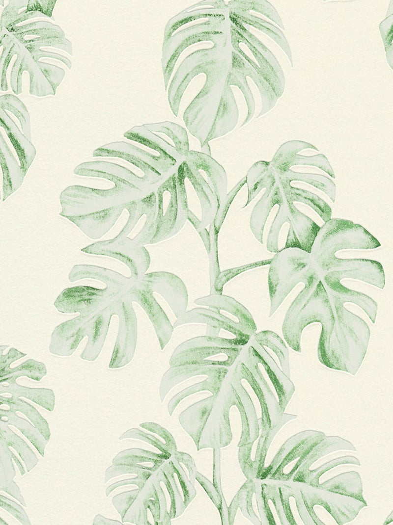 Papier peint imprimé feuillage Monstera Vert - Kiabi