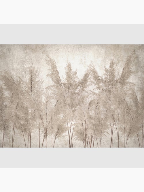 Papier peint intissé - Dim Pampas - 375x270 cm - Kiabi