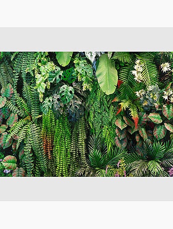 Papier peint intissé - Évasion verdoyante - 375x270 cm
