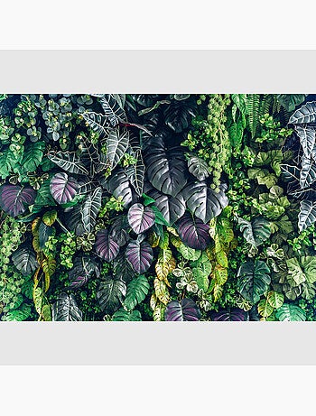 Papier peint intissé - Feuillage royal - 375x270 cm