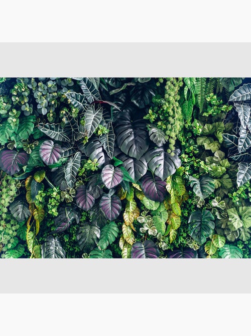 Papier peint intissé - Feuillage royal - 375x270 cm - Kiabi