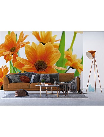 Papier peint intissé - Fleurs éclatantes - 360x270 cm
