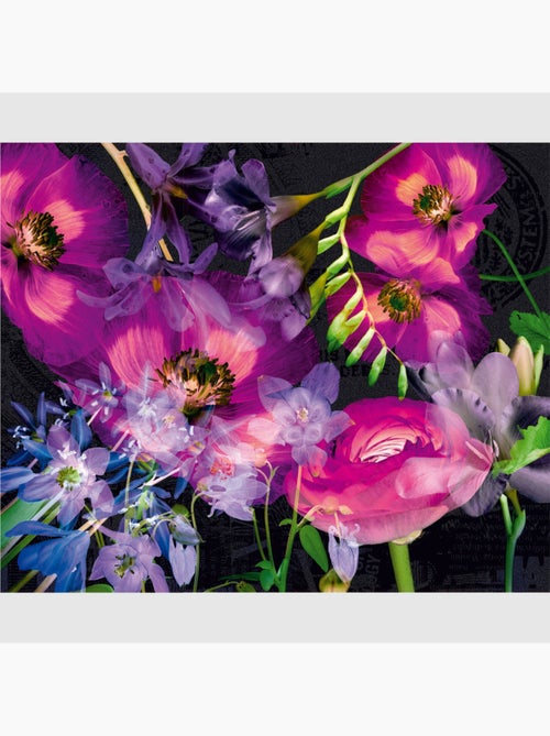 Papier peint intissé - Fleurs violettes - 360x270 cm - Kiabi