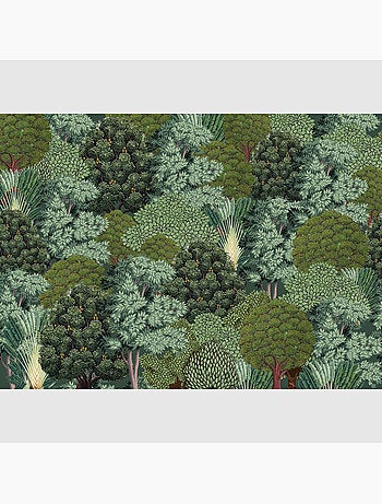 Papier peint intissé - Forêt vu du ciel - 375x270 cm