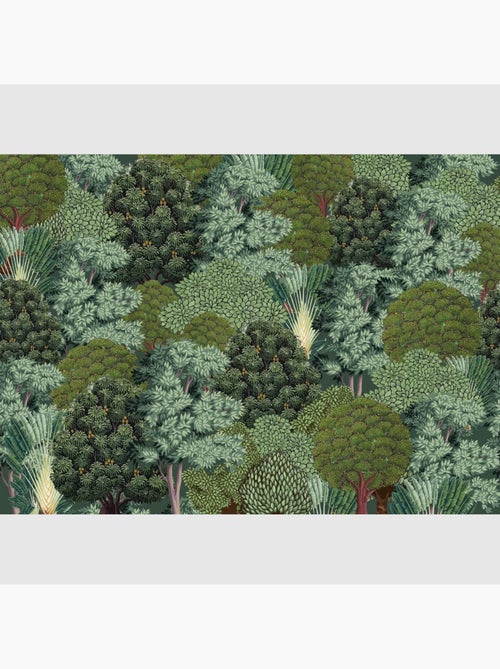 Papier peint intissé - Forêt vu du ciel - 375x270 cm - Kiabi