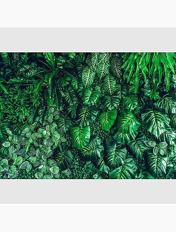 Papier peint intissé - Jungle d'émeraude - 375x270 cm