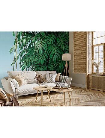 Papier peint intissé - Monstera - 375x270 cm