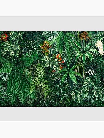 Papier peint intissé - Mur amazonien - 375x270 cm