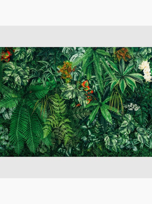 Papier peint intissé - Mur amazonien - 375x270 cm - Kiabi