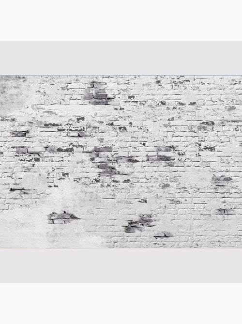 Papier peint intissé - Mur de briques - 375x270 cm - Kiabi