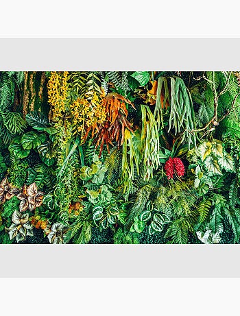 Papier peint intissé - Mur de la jungle - 375x270 cm