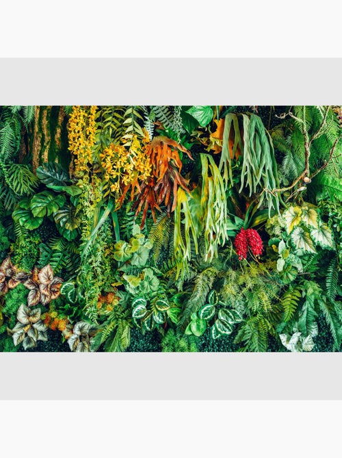 Papier peint intissé - Mur de la jungle - 375x270 cm - Kiabi