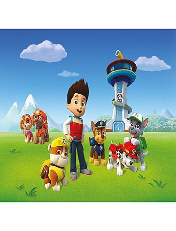 Papier Peint Intissé - Pat'Patrouille - modèle Ryder et ses amis 360 cm x 270 cm