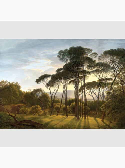 Papier peint intissé - Savannah View - 375x270 cm - Kiabi
