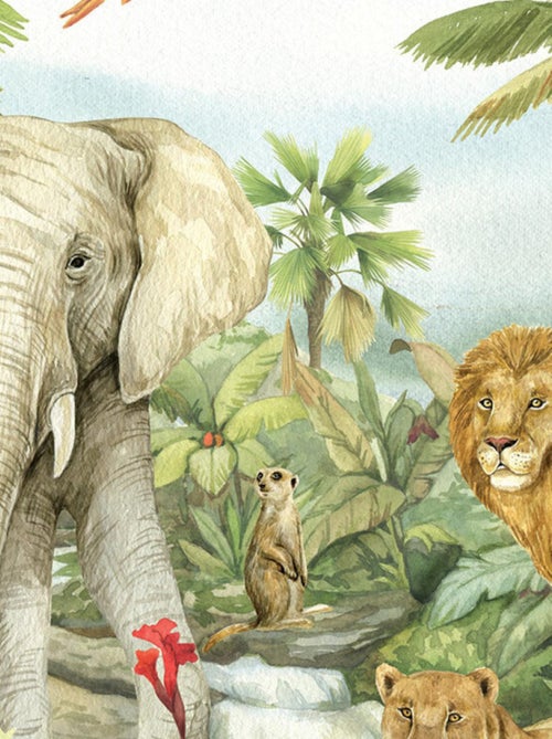 Papier peint intissé auto-adhésif rond  animaux de la jungle - Lion, éléphant, perroquet en couleur - Kiabi