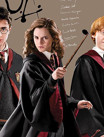 Papier peint intissé auto-adhésif rond Harry Potter et ses amis - Hermione et Ron - 70 x 70 cm