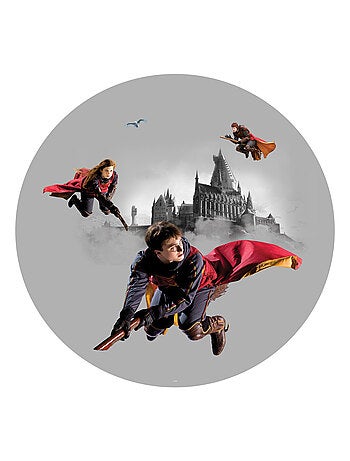 Papier peint intissé auto-adhésif rond Harry Potter Quidditch 3 personnages - 70 x 70 cm