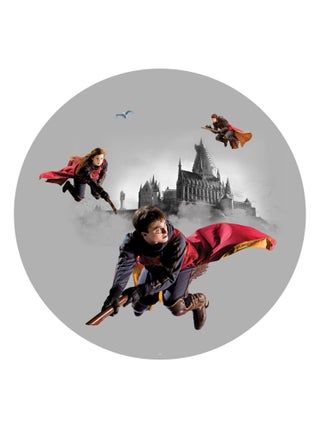 Papier peint intissé auto-adhésif rond  Harry Potter Quidditch 3 personnages - 70 x 70 cm