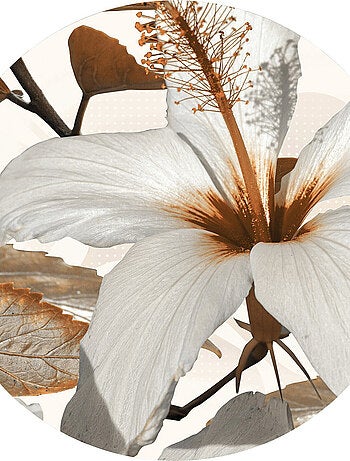 Papier peint intissé auto-adhésif rond Thème fleurs - 70 x 70 cm