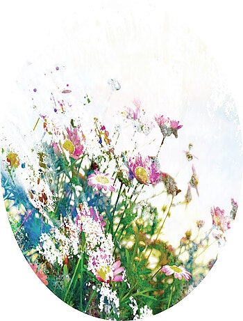 Papier peint intissé auto-adhésif rond Thème Fleurs des champs - 70 x 70 cm