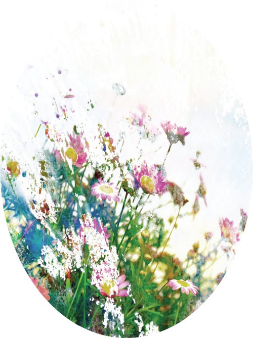 Papier peint intissé auto-adhésif rond  Thème Fleurs des champs - 70 x 70 cm - Kiabi