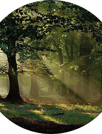 Papier peint intissé auto-adhésif rond Thème Forêt magique - 70 x 70 cm