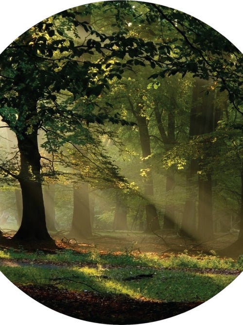 Papier peint intissé auto-adhésif rond  Thème Forêt magique - 70 x 70 cm - Kiabi