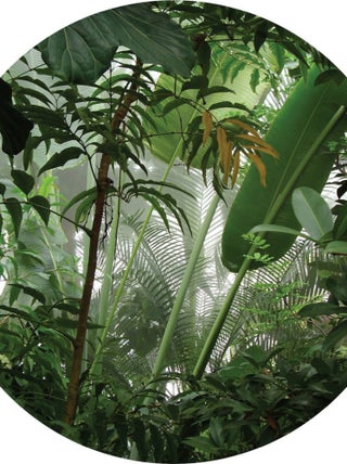 Papier peint intissé auto-adhésif rond  Thème Jungle - 140 x 140 cm