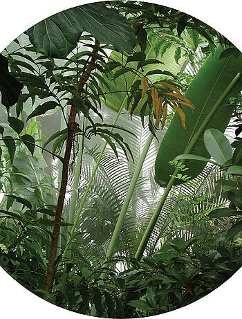 Papier peint intissé auto-adhésif rond Thème Jungle - 70 x 70 cm