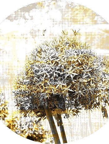 Papier peint intissé auto-adhésif rond Thème Magie du Pissenlit - 70 x 70 cm