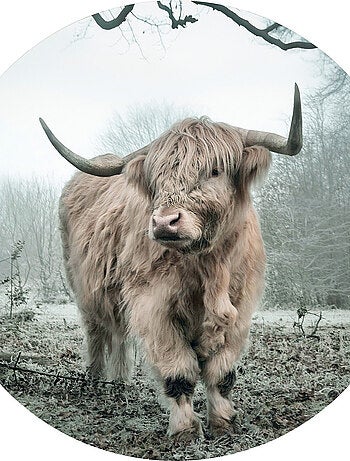 Papier peint intissé auto-adhésif rond Thème Montagnard - 70 x 70 cm