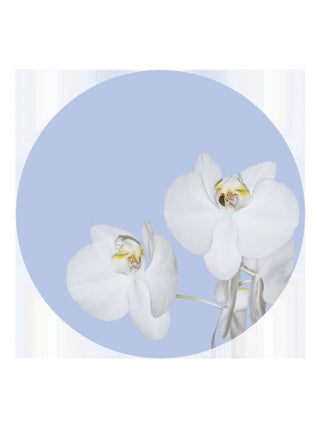 Papier peint intissé auto-adhésif rond  Thème Orchidée en Bleu - 140 x 140 cm