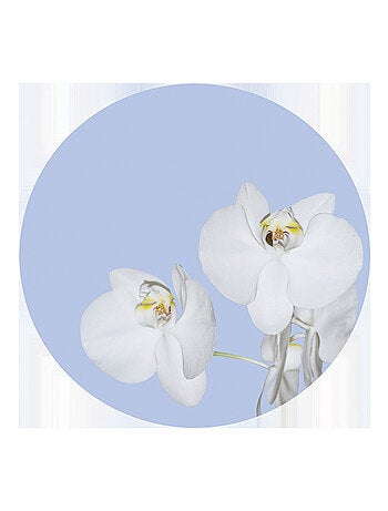 Papier peint intissé auto-adhésif rond Thème Orchidée sur du bleu - 70 x 70 cm