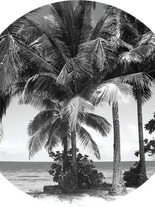 Papier peint intissé auto-adhésif rond  Thème Palmiers monochromes - 140 x 140 cm