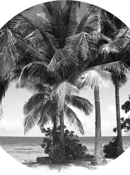 Papier peint intissé auto-adhésif rond  Thème Palmiers monochromes - 140 x 140 cm - Kiabi