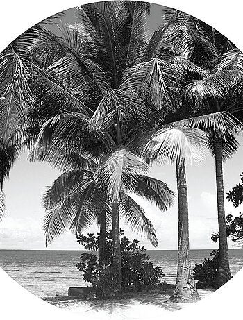 Papier peint intissé auto-adhésif rond Thème Palmiers monochromes - 70 x 70 cm