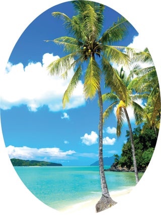 Papier peint intissé auto-adhésif rond  Thème Palmiers sur la plage - 140 x 140 cm